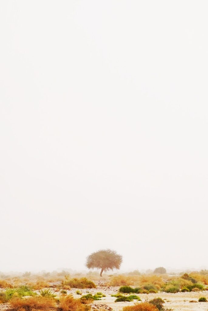 福岡の有料老人ホームで介護度5の方に最適な施設は？