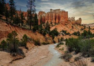 福岡の有料老人ホームと老健、どちらを選ぶべきか？