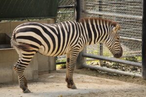 福岡の有料老人ホームでの入居金について知っておくべきことは？